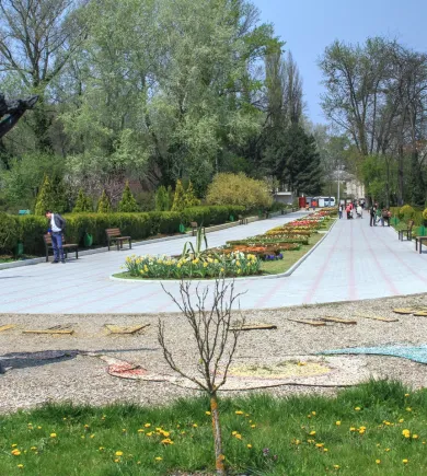Dendrariu Park